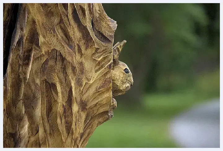 雕塑 | 木雕小动物，艺术与生活的完美结合 | 雕塑