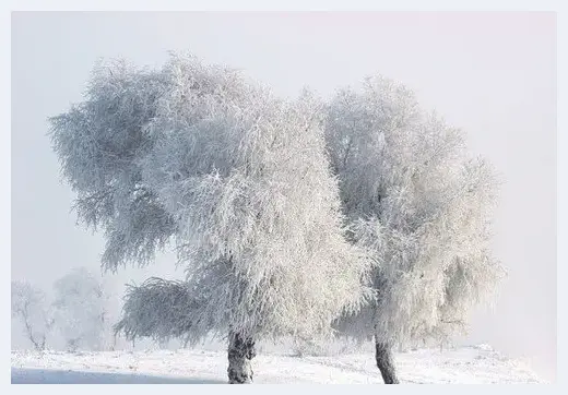 浓雾雪景的三大拍摄技法 | 摄影技巧