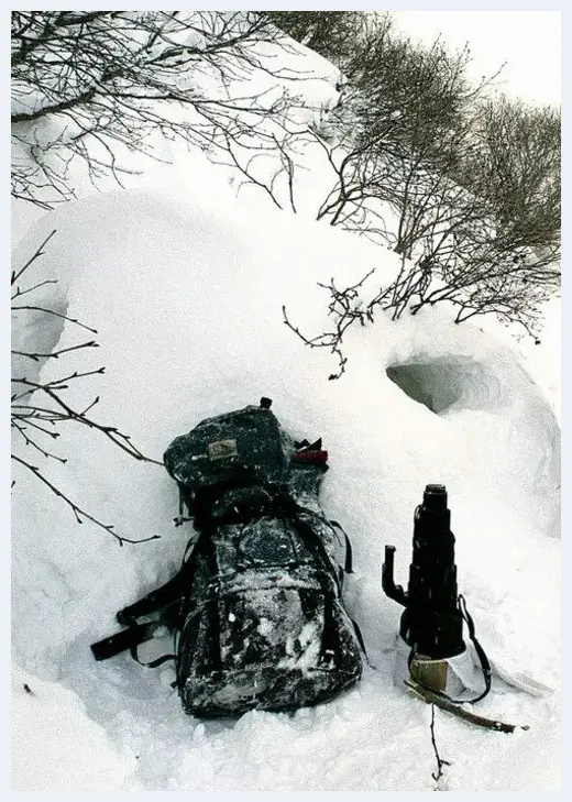 拍好雪景摄影师必备的20招 | 摄影教学