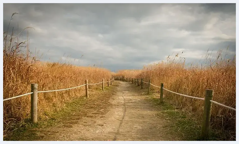 7个拍出漂亮秋天风景的技巧 | 摄影技巧