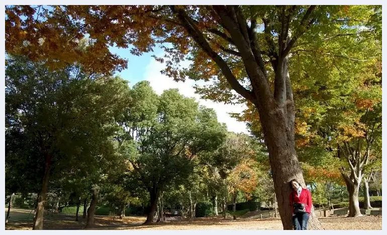 摄影新手必学构图的基础概念 | 单反相机教学