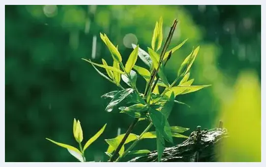 风光摄影的季节应对 | 摄影教学