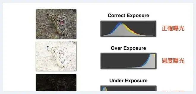 完全解读曝光直方图的奥秘 | 单反相机教学
