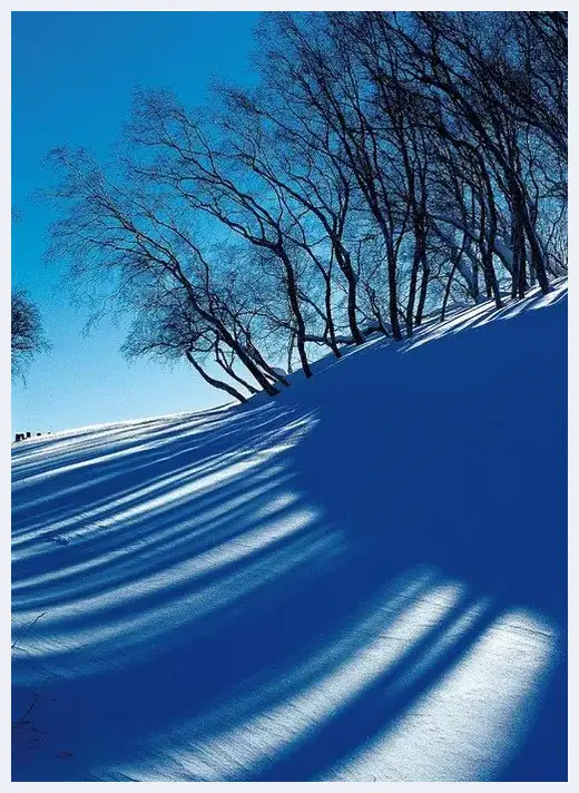 拍好雪景摄影师必备的20招 | 摄影教学