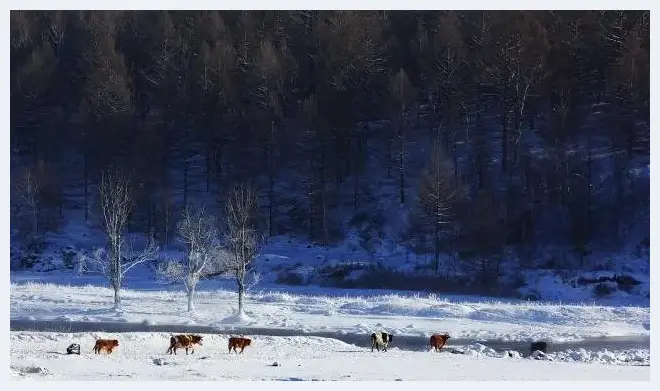 冬季雪景拍摄攻略 | 摄影教学