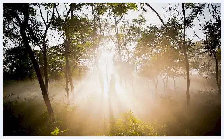 摄影师教你如何拍摄唯美逆光人像 | 人物摄影