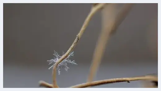 拍好雪景摄影师必备的20招 | 摄影教学