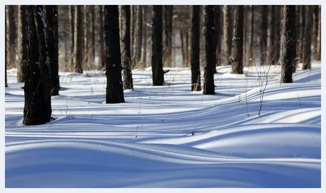 冬季雪景拍摄攻略 | 摄影教学