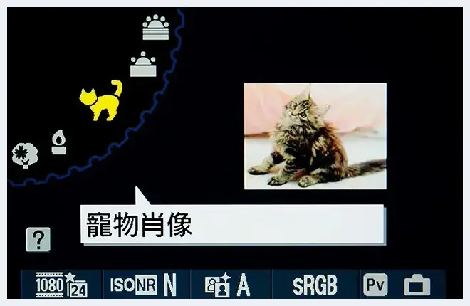 宠物摄影：耐心与机动性成功拍出好照片 | 摄影教学