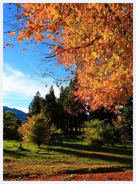 枫红季节：拍枫叶技巧总整理 | 摄影教学