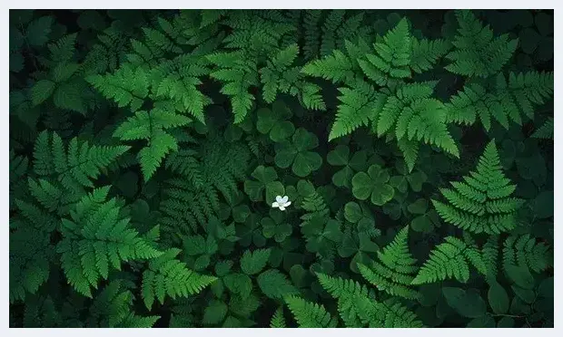 摄影构图一招让你脑洞大开 | 摄影教学