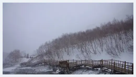 摄影大师教您如何拍出漂亮雪景 | 摄影技巧