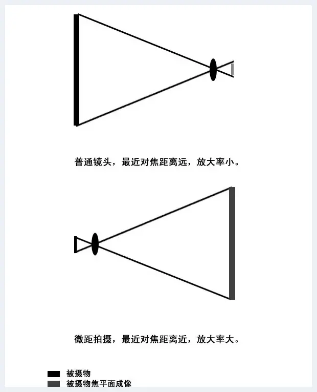 学习全新视角微距摄影 | 摄影教学