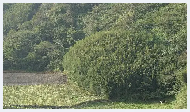 教你掌握不同天气状况的拍摄要领 | 摄影教学