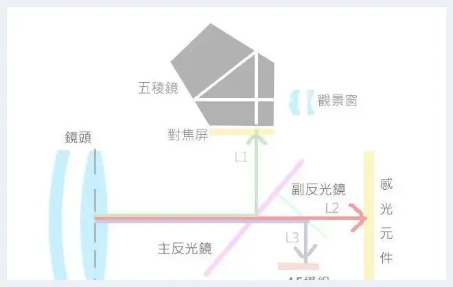 摄影新手进阶：什么是移焦 | 摄影教学