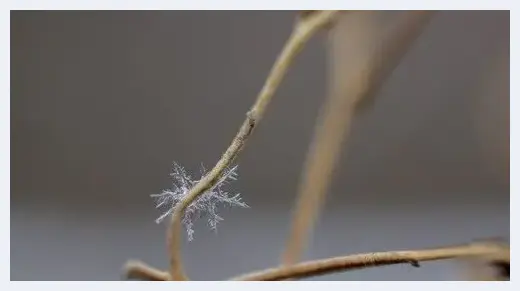 教你如何在雪天拍风光 | 摄影教学