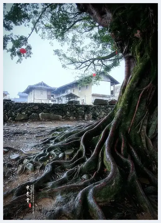 如何发掘风光摄影中的前景 | 摄影教学