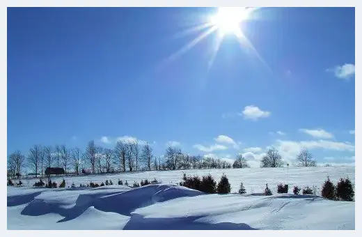 摄影大师教您如何拍出漂亮雪景 | 摄影技巧