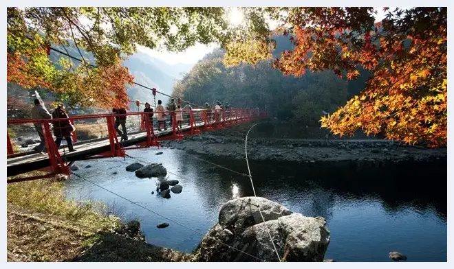 拍好超广角镜的专业技巧：构图与前后景 | 摄影教学