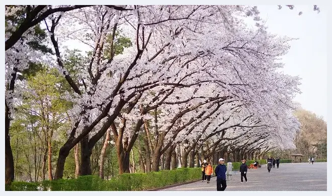 旅行中亲子摄影器材的10个疑问 | 摄影器材