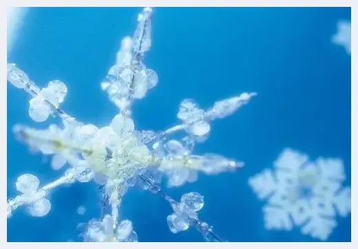 拍好雪景摄影师必备的20招 | 摄影教学