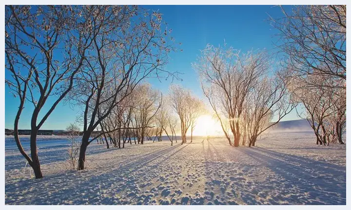 超实用的冬季雪景拍摄技巧 | 摄影技巧