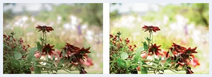 编辑色调和色彩：对比度和亮度 | 摄影后期处理