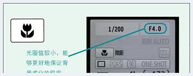 快速掌握五种最常用的智能拍摄模式 | 单反相机教学