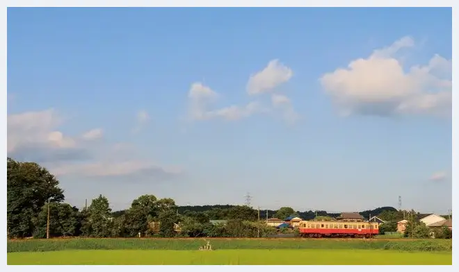 拍好超广角镜的专业技巧：构图与前后景 | 摄影教学