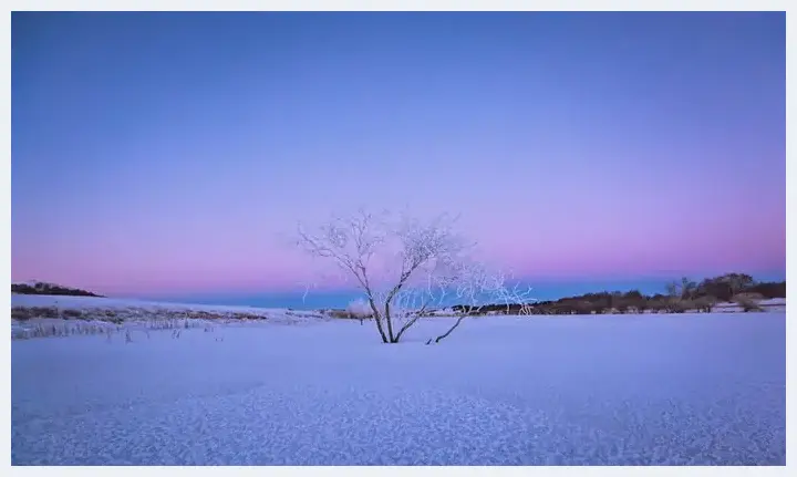 超实用的冬季雪景拍摄技巧 | 摄影技巧