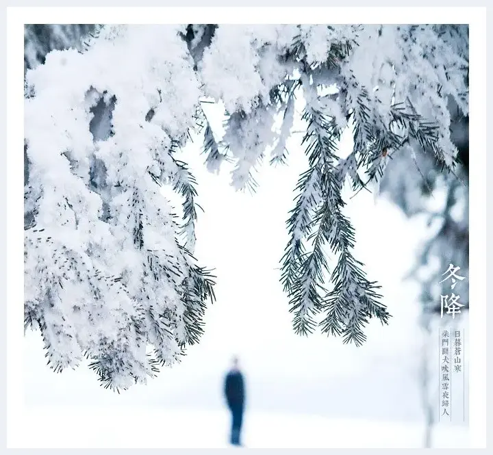 超实用的冬季雪景拍摄技巧 | 摄影技巧