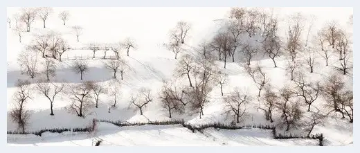 教你如何在雪天拍风光 | 摄影教学