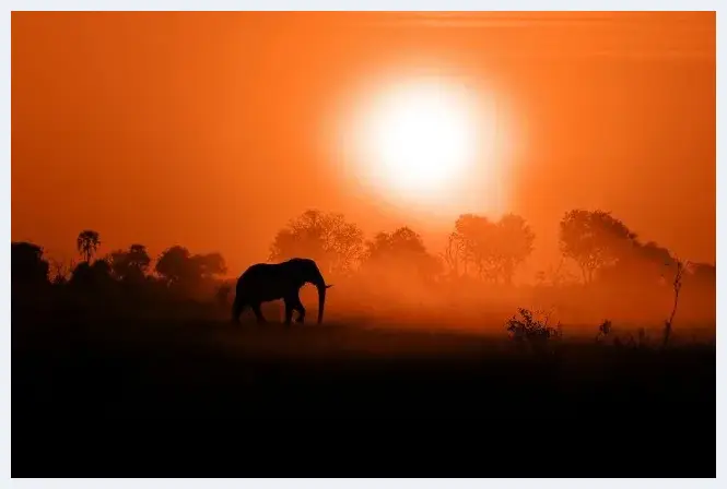 拍摄日落夕阳的5个技巧 | 摄影技巧