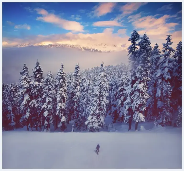 如何拍好美轮美奂的雪景风光 | 摄影教学