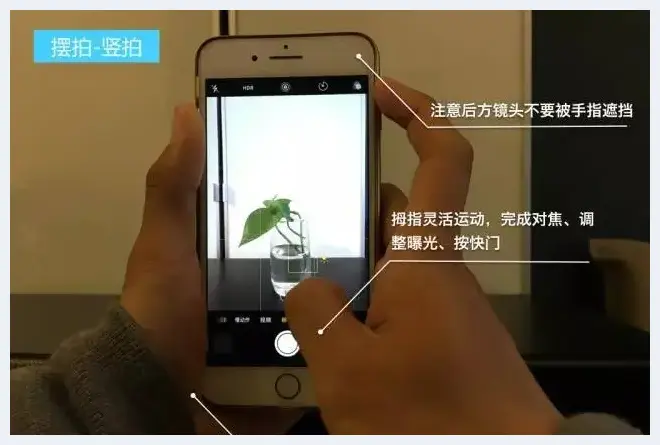 手机摄影必须遵守的6个原则 | 摄影教学