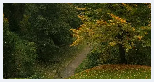 秋季旅行摄影技巧完全攻略 | 摄影教学