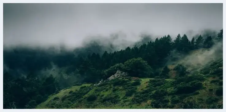 简单几招教你轻松驾驭眩光 | 摄影教学