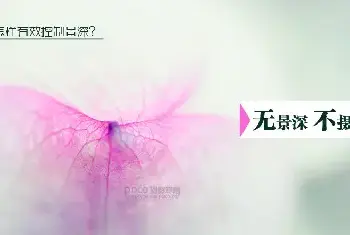 摄影入门 | 如何有效控制景深