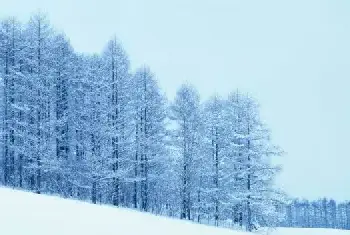 风光摄影 | 冰雪摄影技巧大盘点