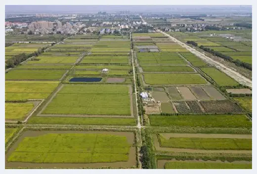 农村自建房 | 欧式玄关家有什么作用？如何摆放设计？ | 农村自建房