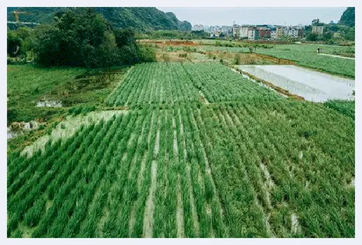 自建房常识 | 带车库的两层农村别墅，实用又好看，看完赶紧收藏吧！ | 自建房常识