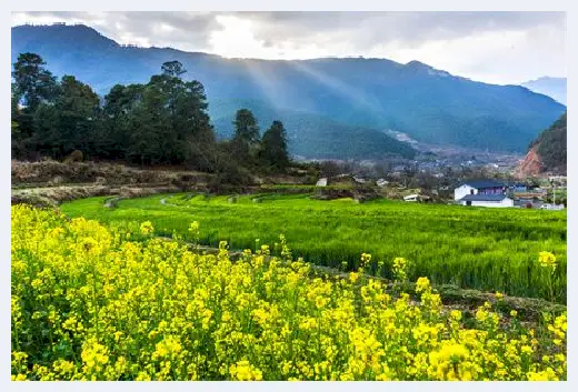 自建房 | 大门朝东的房子的风水，看完收获满满 | 自建房