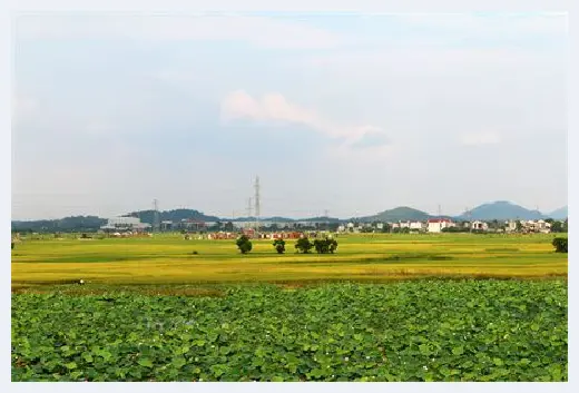 自建房学堂 | 在老家建房子设计图怎么搞？需要注意哪些呢？ | 自建房学堂