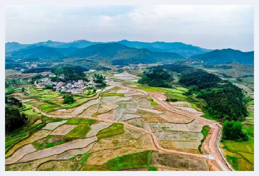 城市自建房 | 种柿子树对家人不好？风水学中的这些凶树一定要避开！ | 城市自建房