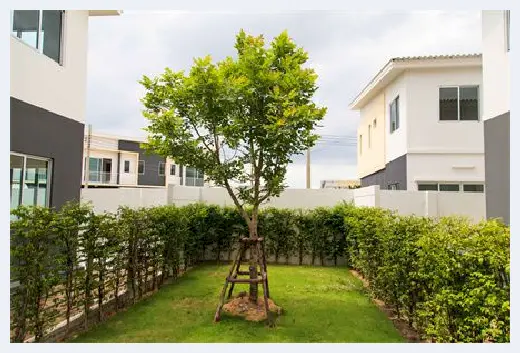自建房知识 | 马桶如何移位 | 自建房知识