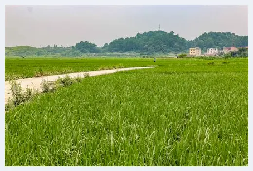 自建房知识 | 农村自建房政策大解读，不看后悔莫及 | 自建房知识