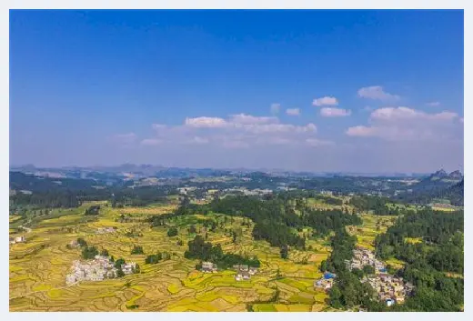 自建房常识 | 月季种门口风水好不好？门口的财神花有哪些？ | 自建房常识