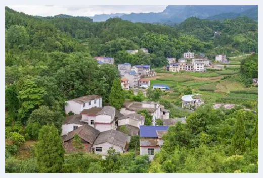 城市自建房 | 非农转农最新政策内容有哪些？如何办理非转农的户口迁移？ | 城市自建房