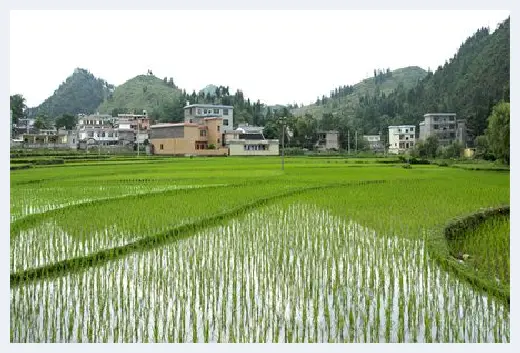 自建房知识 | ​住房风水不好对人的影响有哪些？自己不住有影响吗？ | 自建房知识