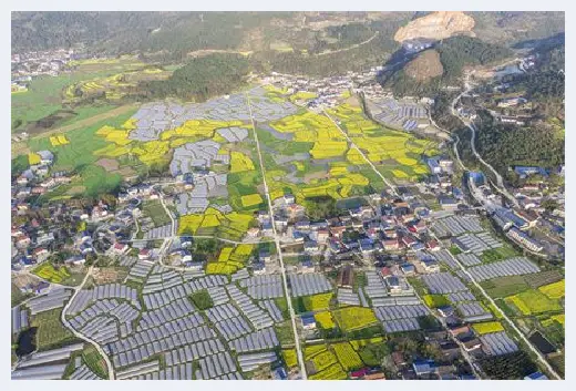 自建房教程 | 宅基地有偿退出后子女还能申请吗？宅基地有偿退出向谁申请？ | 自建房教程